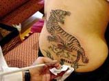 Jolie's Kids Talk to Her Bengal Tiger Tattoo