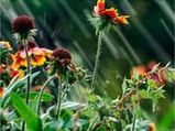 Tirukkural-On Virtue - In Praise Of Rain - Kural - 16