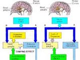 Brain Malfunction 