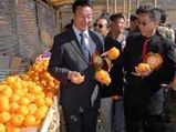 Orange Festival With A Beauty Contest