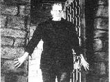 Letters From Frankenstein