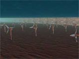 Scotland To Build Worlds First Underwater Tidal Farms