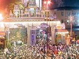 Chinese Families Celebrate Pongal