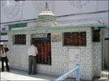 Cats Treated Royally At The Agra Mosque
