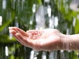 The Monsoon Memoirs...