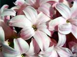 Tirukkural-On Virtue-Forbearance-Kural 156