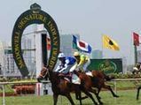 McDowell Signature Indian Derby 2009