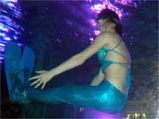 A Restaurant Where The Mermaids Dance!
