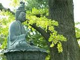 Buddhism-Arya Ashtangika marga