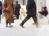 Australian Beggar Makes 50,000 Dollars A Year 