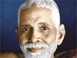 Basking In The Sunshine Of Ramana's Grace