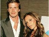 Posh Pigs For Beckhams' Christmas