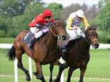 Rachel Alexandra Named Horse Of The Year