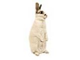 Hypnotize A Rabbit?!