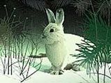 Stephanie Prat For PETA Campaign - 'Be Nice To Bunnies' 
