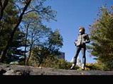 Nature Is Our Own Echo-Part II