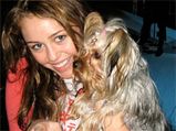 Miley Cyrus Flaunts A Transparent Vest