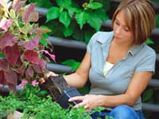 Garden Maintenance Tips For Winter