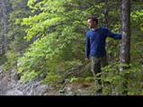 Different  Meditation Techniques For Peace