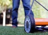 Lawn Care Tips And Suggestions