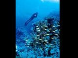 Scuba Diving Spots For Water Sport Lovers