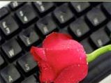 Valentines Day Celebration Via Internet