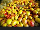 Overrated Mango Price In Korea!