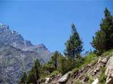 Best Summer Vacation Getaways In India