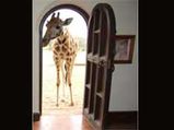 You Must Visit These 'Unusual Hotels'!
