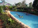 Major Seaworld Park Attractions!
