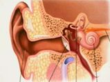 Hearing Loss Linked To Diabetes