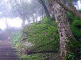Bangalore's Beautiful Hot Spots For Couples!