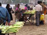Best Of Mumbai â€“ Street Food!