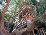 Total Environment Eco Homes â€“ Best In Bangalore