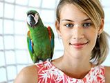 Top 4 Pet Birds For Home
