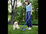 Dog Potty Training : Quick Pet Training Tips