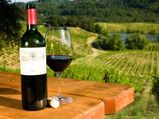 Top 5 Indian Vineyards