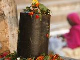 Flowers For  Worship Of Different Deities