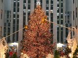 5 Fun Filled Places To Celebrate Christmas!