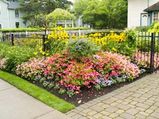 How To Maintain A Flower Garden?