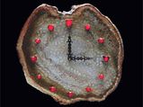 Most Expensive Valentine's Day Gift On Auction