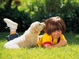 Summer Pet Care Tips For Puppies!