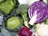 8 Ways To Keep Vegetables Fresh!