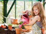 Tips To Have An Indoor Garden
