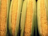 6 Health Benefits Of Corn 