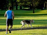 Health Lessons From Your Pet