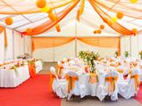 Choose Your Dream Theme: Wedding Spcl