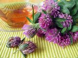 Red Clover Tea – Herbal Tea Recipe
