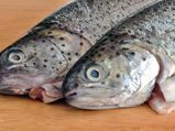 11 Healthy Types Of Fish For Cooking