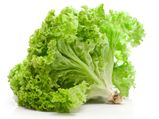 Health Benefits Of Crunchy Lettuce